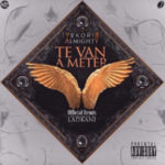 Almighty Ft. Yekorio - Te Van A Meter Remix